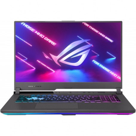 Pc portable Asus ROG Strix G17 G713 (90NR05B2-M00990)